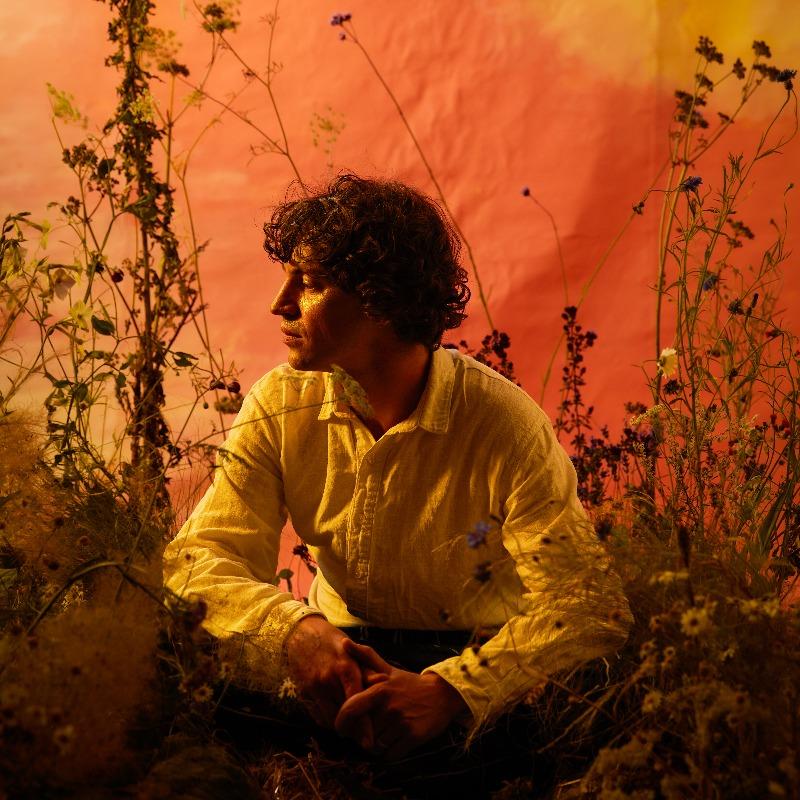 Cosmo Sheldrake